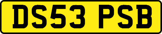 DS53PSB