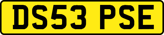 DS53PSE