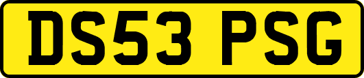 DS53PSG