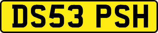 DS53PSH