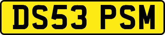 DS53PSM