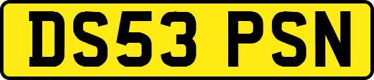 DS53PSN
