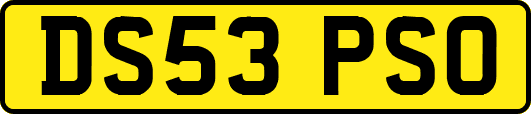 DS53PSO