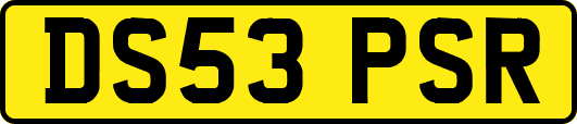DS53PSR