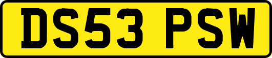 DS53PSW