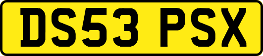 DS53PSX