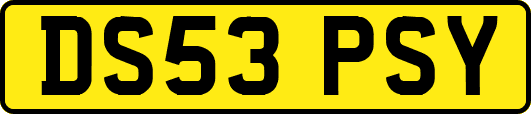 DS53PSY