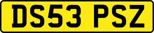 DS53PSZ