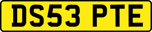 DS53PTE