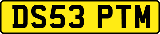 DS53PTM