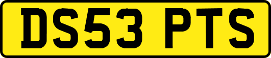 DS53PTS