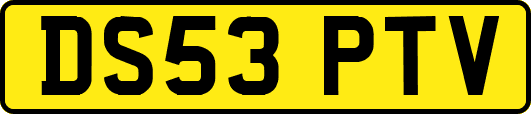 DS53PTV