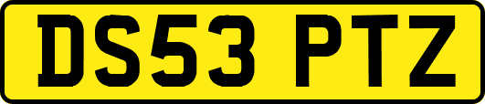 DS53PTZ