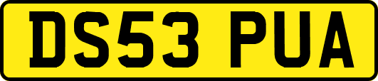 DS53PUA