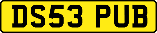 DS53PUB