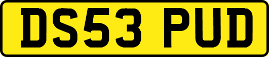 DS53PUD