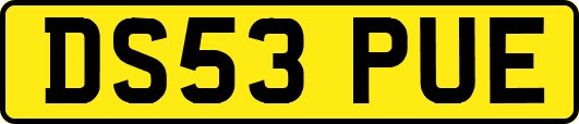 DS53PUE