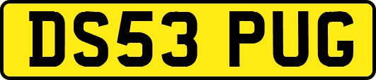 DS53PUG