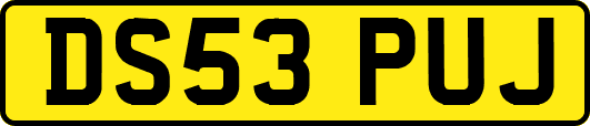 DS53PUJ