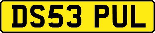 DS53PUL