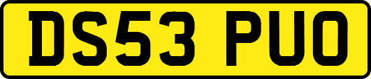 DS53PUO