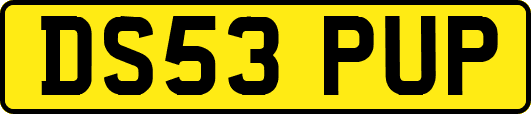 DS53PUP