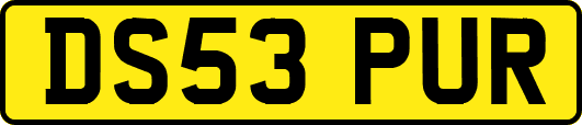 DS53PUR