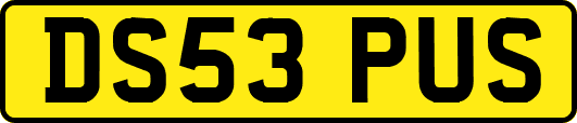 DS53PUS