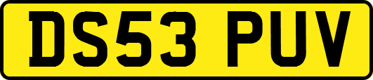 DS53PUV