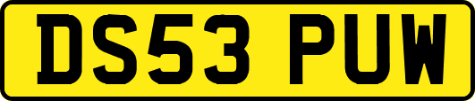 DS53PUW