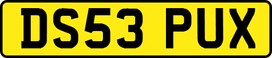DS53PUX