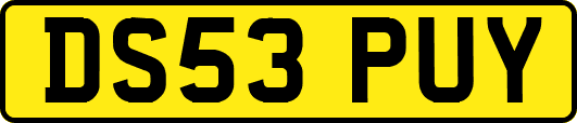 DS53PUY