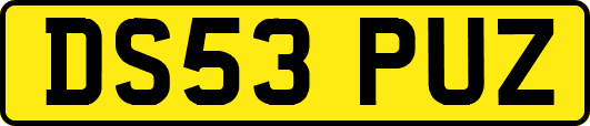 DS53PUZ