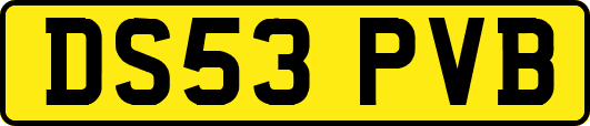DS53PVB