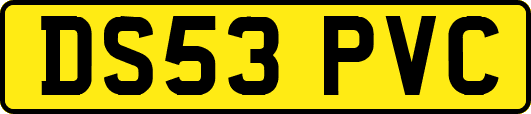 DS53PVC