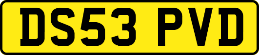 DS53PVD