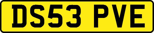 DS53PVE