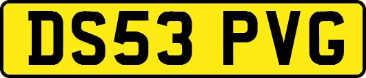DS53PVG