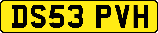 DS53PVH