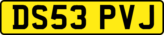 DS53PVJ