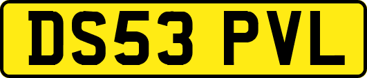 DS53PVL