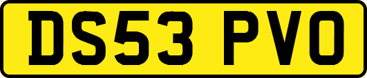 DS53PVO