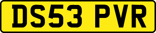 DS53PVR
