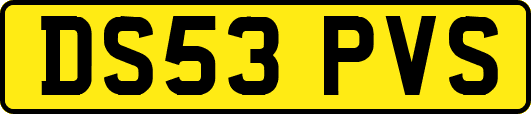 DS53PVS