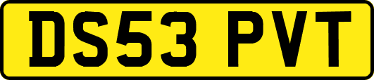 DS53PVT