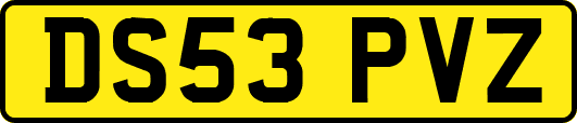 DS53PVZ