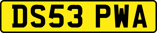 DS53PWA