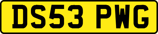DS53PWG