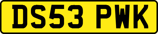 DS53PWK