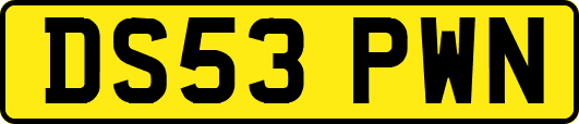 DS53PWN